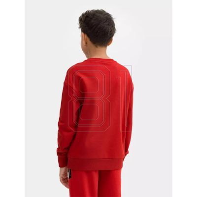 12. Sweatshirt 4F Jr. 4FJSS23TSWSM222-62S