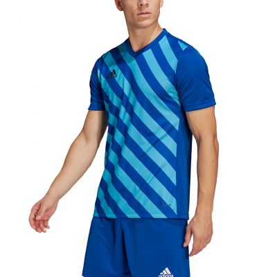 5. adidas Entrada 22 Graphic Jersey M HF0116
