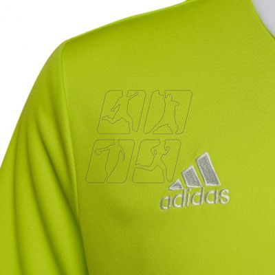 3. Adidas Entrada 22 Jersey Jr. HC5079