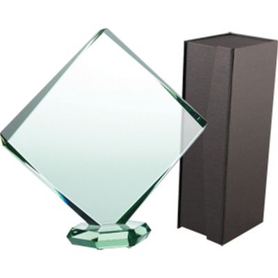 7. Glass trophy with case