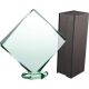 7. Glass trophy with case