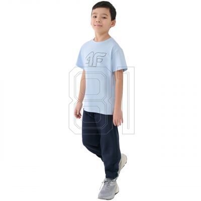 5. T-shirt 4F M2325 Jr 4FJWSS25TTSHM2325 33S