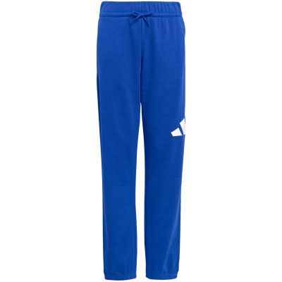 2. adidas Essentials 280 Blue Kids' Pants JV9916