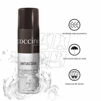 5. Coccine leather impregnation spray DA0265