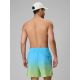 2. Men's boardshorts 4F 4FRSS26UBDSM224-31S