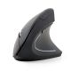 15. GEMBIRD MUSW-ERGO-01 mouse (optical; 1600 DPI; black)