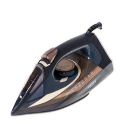 2. CAMRY CR 5036 steam iron