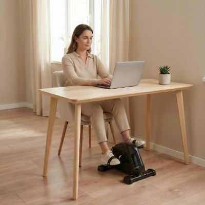 18. VIRTUFIT V3 CHAIR BIKE / CYCLE TRAINER WITH HANDLE AND COMPUTER