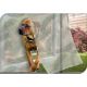 6. DOOR MOSQUITO NET 100X220CM WITH MAGNETIC CLOSURE, LEAVES