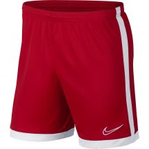 Nike Dry Academy M AJ9994-657 football shorts