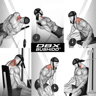 10. Pro Neck Harness