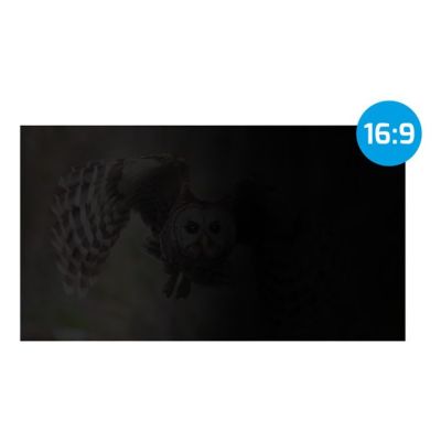 13. NATEC PRIVATIZATION FILTER OWL 27" 16:9 NFP-2118