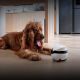 6. ENABOT Ebo AIR 2 Plus robot - home companion with monitoring and video calls function (white)