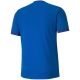 2. Puma teamGOAL 23 Jersey M 704171 02