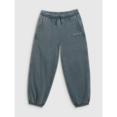6. Boys' jogger sweatpants 4F 4FJRAW25TTROM1528-46S