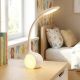 11. AJE-RAINBOW RGB 2 LED Desk Lamp