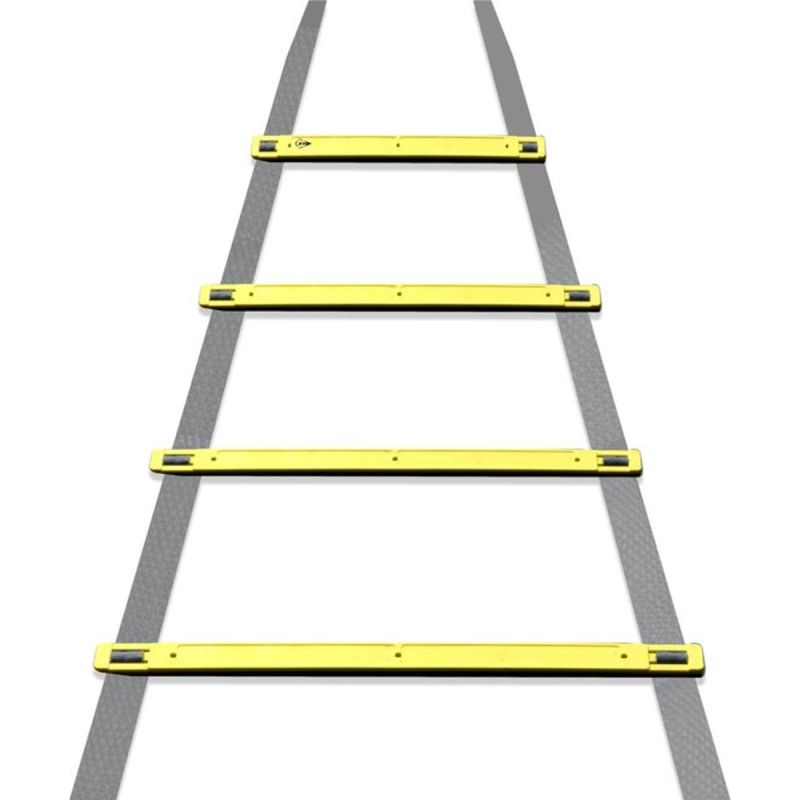 DUNLOP ADJUSTABLE 4M ACTIVITY LADDER