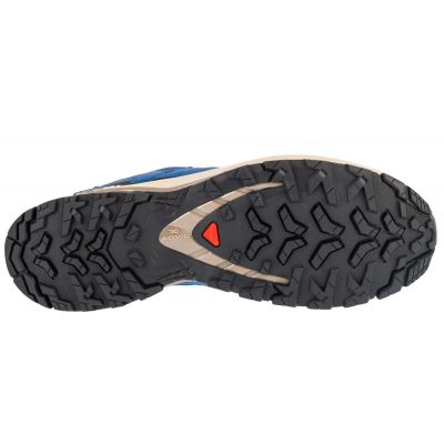 4. Salomon XA Pro 3D v9 GTX M L47817200 Running Shoes