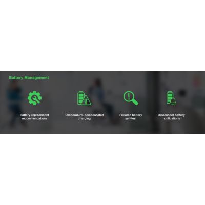 12. APC Smart-UPS 3000VA LCD RM 2U 230V with SmartConnect