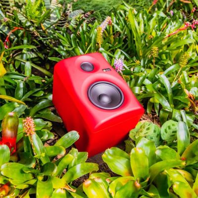 7. Monkey Banana Gibbon 5 2-Way Red Wired 80 W