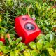 7. Monkey Banana Gibbon 5 2-Way Red Wired 80 W