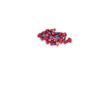 FUNN red brake disc bolts, 15 pcs.