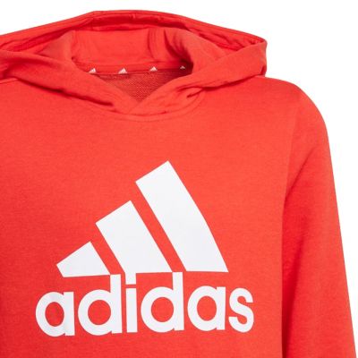 10. Adidas Essentials Big Logo Hoodie Jr GN4037 sweatshirt