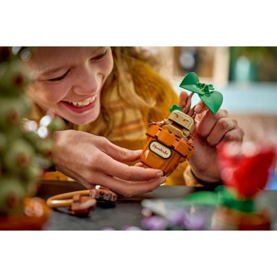 10. LEGO Harry Potter 76474 - Hogwarts Herbology Plants