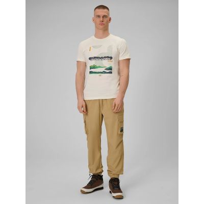 3. Men's regular printed T-shirt 4F 4FRAW25TTSHM3378-11S