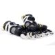 15. TEMPISH WSX 90 FLS Lady Roller Skates