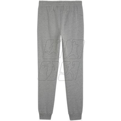 5. Puma Team Goal Casuals M 658598 33 pants