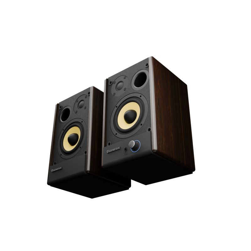 9. GENESIS ARSEN 402BT 2-Way Brown Wired and Wireless 60 W