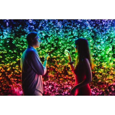 10. Twinkly 600 RGB Smart Christmas Lights 48m