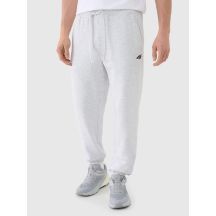 Men's jogger sweatpants 4F 4FWMM00TTROM1139-27M