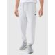 Men's jogger sweatpants 4F 4FWMM00TTROM1139-27M