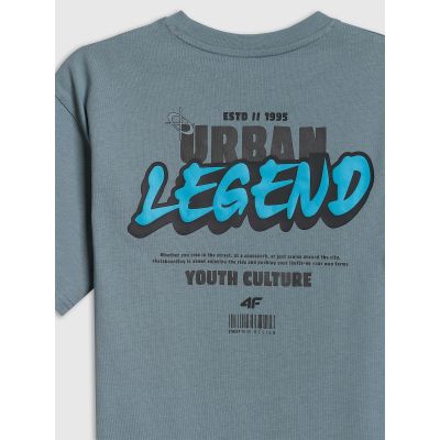 7. Boy's cotton T-shirt 4F 4FJRSS26TTSHM4175-46S
