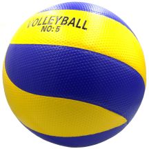 RECREATIONAL VOLLEYBALL