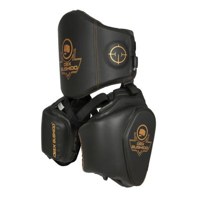 13. ProFighter Trainer's Torso and Thigh Protector Set