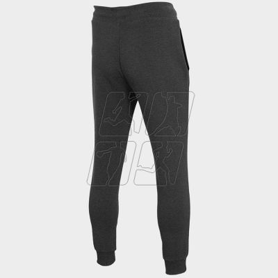 7. Pants 4F M H4Z22-SPMD350 23M