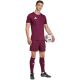 7. Men's adidas Entrada 26 burgundy shorts JZ2514