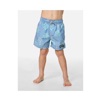 2. RIP CURL Ride The Wave Volley Boys' Boardshorts - Boy Blue