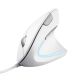 TRUST Verto ERGO vertical ergonomic White mouse