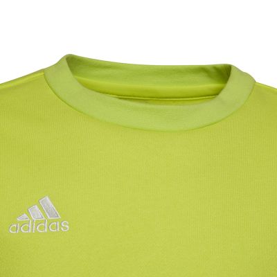 8. Adidas Entrada 22 Sweat Top Jr HC5043 sweatshirt