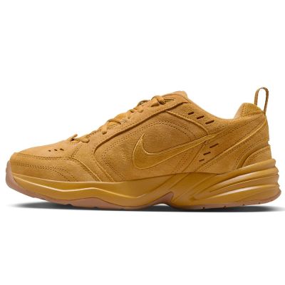 2. Nike Air Monarch SE IB2281-700 shoes