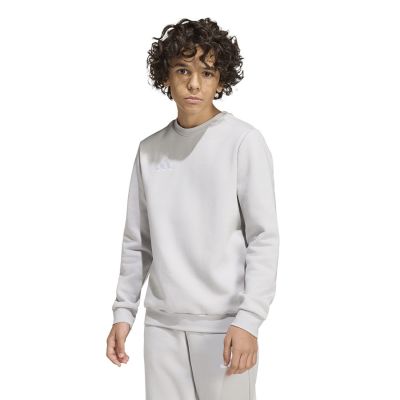3. adidas Entrada 26 Sweat Top for kids gray JZ6551
