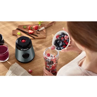14. Bosch VitaPower Serie 2 MMB2111S Jug Blender 0.6l | 450W | Silver