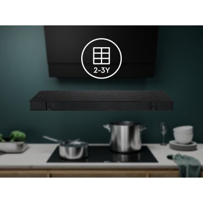 4. Electrolux ECFBPL02 Odor Filter