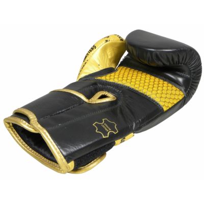 9. Masters Rbt-Professional Boxing Gloves 01101-10