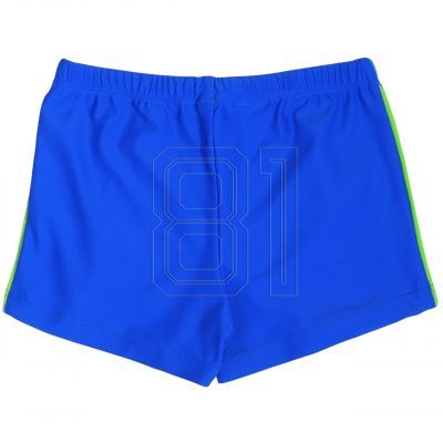 12. Swimming cap Crowell Ucho Bora silver col.4