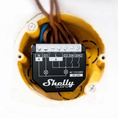 6. Shelly Qubino Wave 2PM Dual-Channel Z-Wave Controller